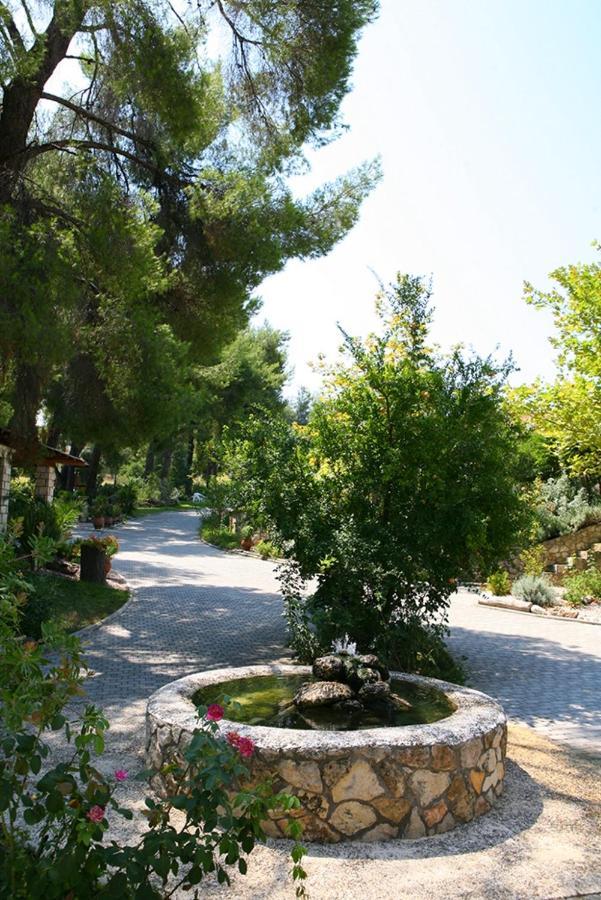 Chrouso Apartments Παλιούρι Εξωτερικό φωτογραφία